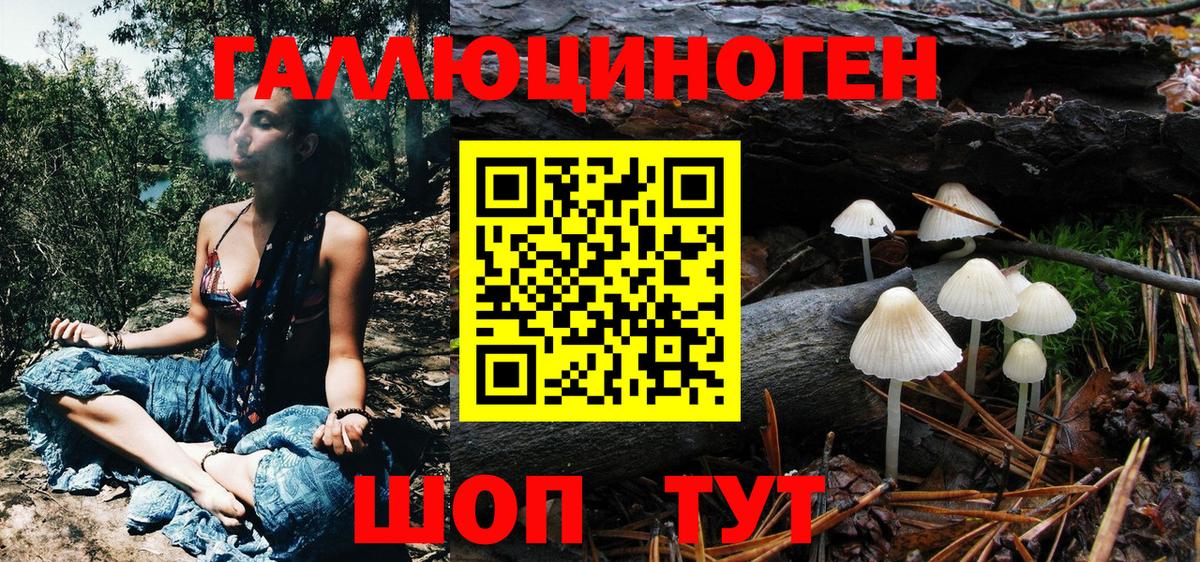 Галлюциногенные грибы Psilocybine cubensis Нефтекамск